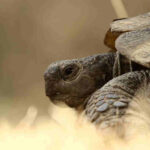 co spowalnia pracę komputerów