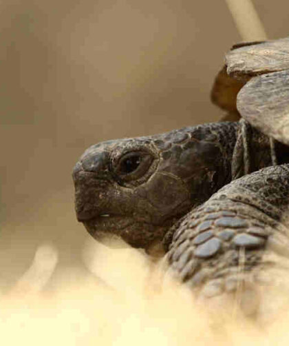 co spowalnia pracę komputerów