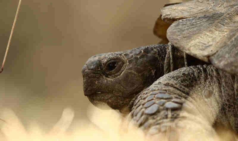 co spowalnia pracę komputerów